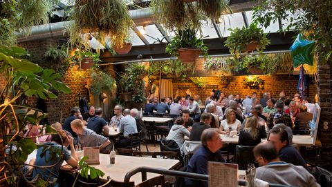 Menschen sitzen in Hellers Brauhaus mit vielen grünen Pflanzen