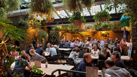 Menschen sitzen in Hellers Brauhaus mit vielen grünen Pflanzen