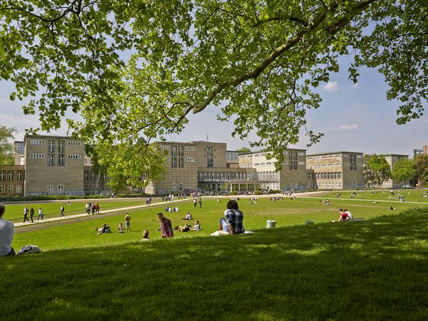 Studierende auf der Uniwiese