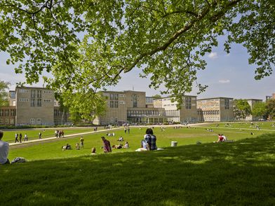 Studierende auf der Uniwiese